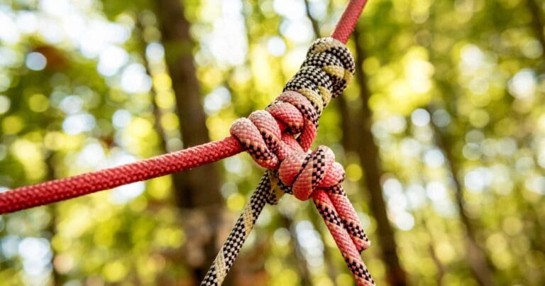Useful knots for hikers