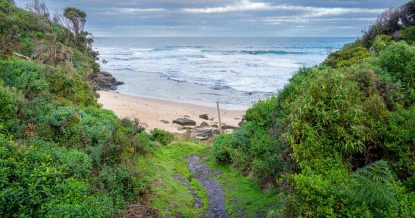 Cape Otway to Aire River Cape otway to aire river