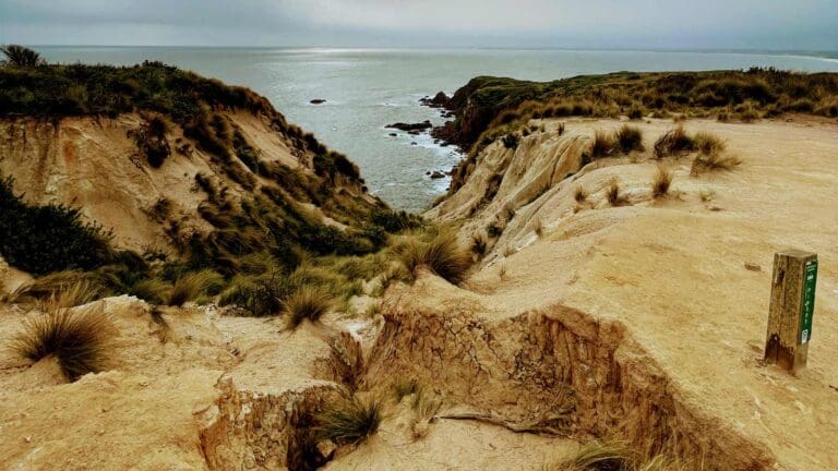 Cape woolamai beacon walk
