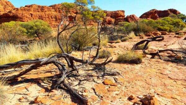 Giles Track Hike Watarrka Giles track hike watarrka