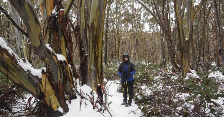 Great Walhalla Alpine Trail Great walhalla alpine trail