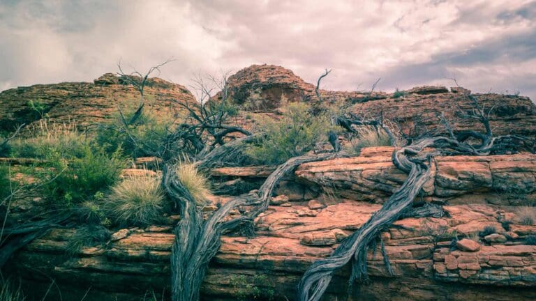Kings creek walk