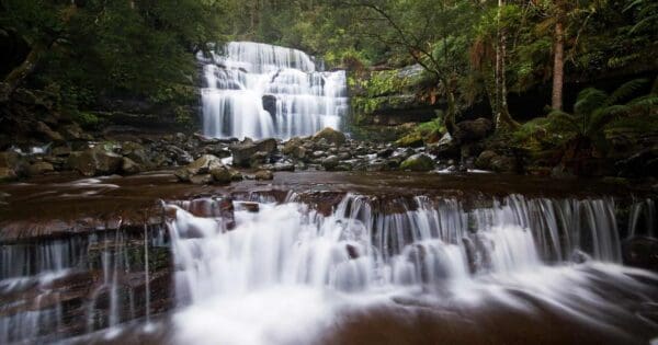 Liffey falls hike