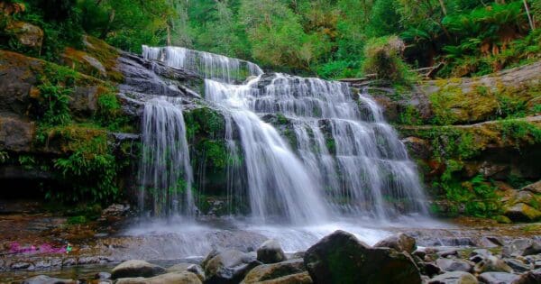 Liffey falls walk