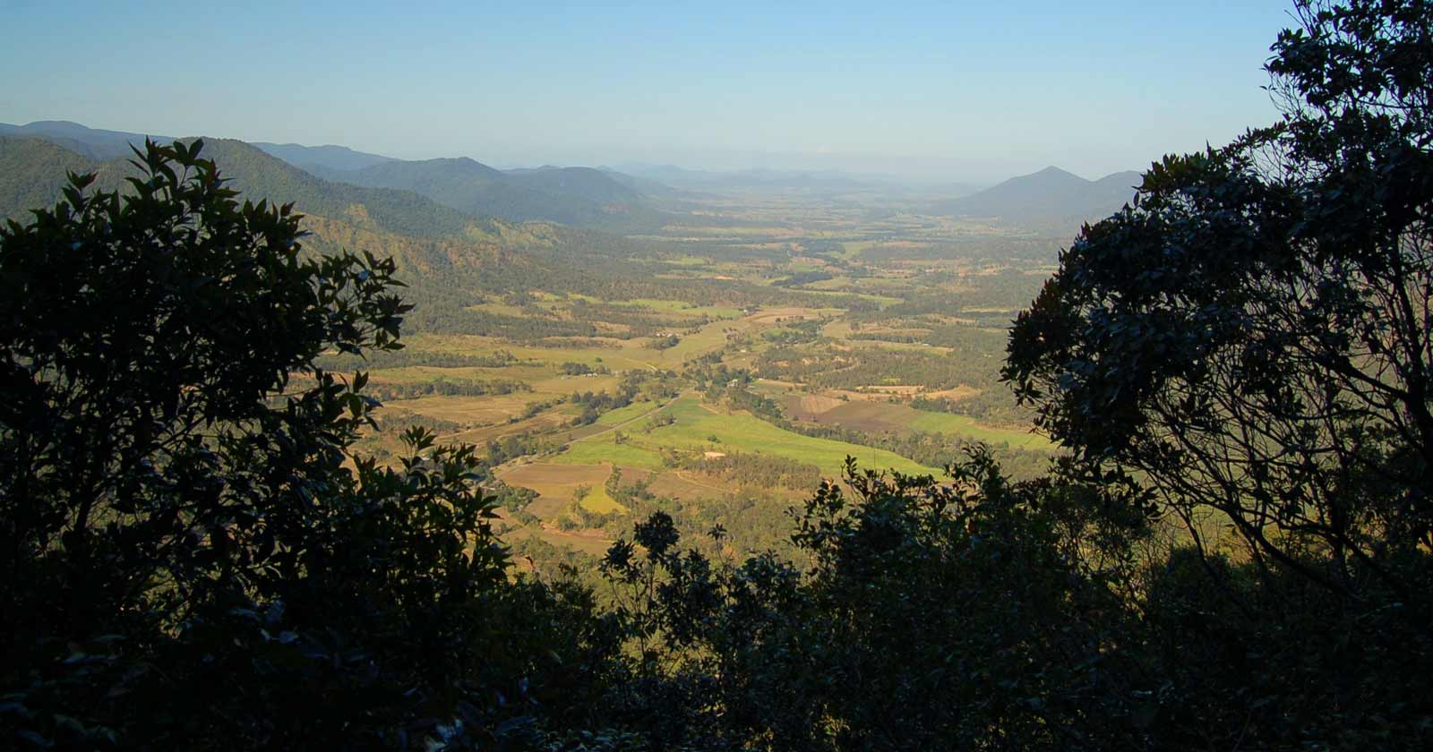 A Hiker's Paradise: Discover 12 of Australia's Great Walks Mackay highlands great walk (queensland)