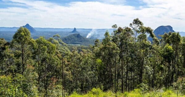 Mount Beerburrum Summit Walk Mount beerburrum summit walk
