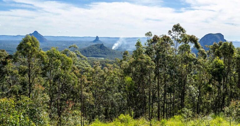 Mount Beerburrum Summit Walk Mount beerburrum summit walk