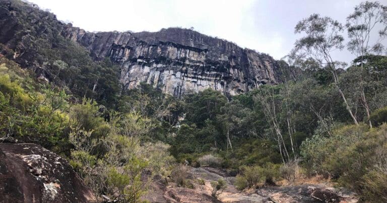 Mount Beerwah Summit Walk (4.3km) Mount beerwah summit 768x403