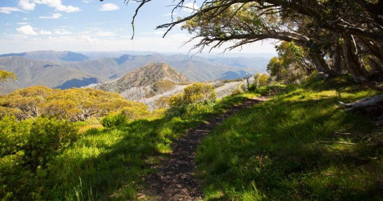 Mount buller to mount stirling