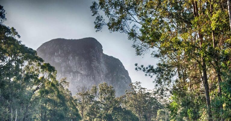 Mount tibrogargan circuit walk