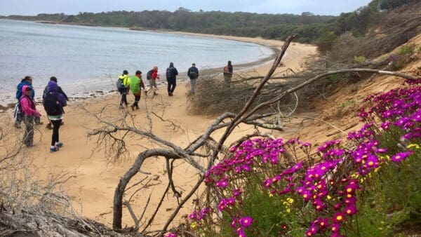 Old Granite Quarry Walk Old granite quarry walk