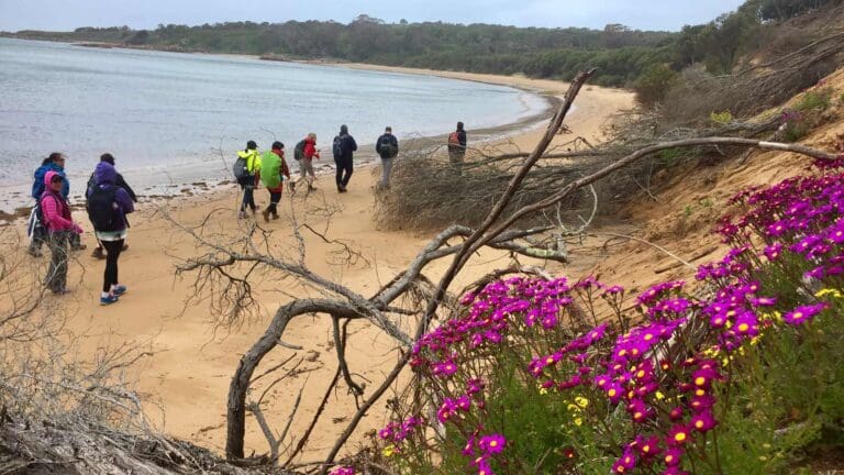 Old granite quarry walk