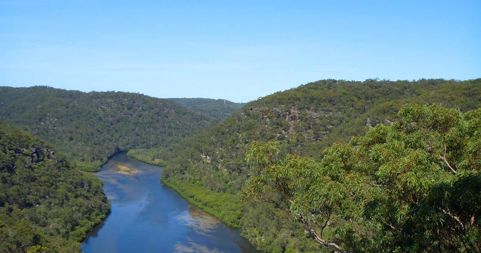 The Great North Walk (New South Wales)