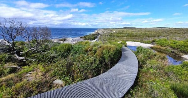 Cape baily walking track