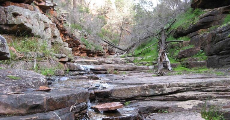 Alligator Gorge Ring Route Circuit Alligator gorge ring route circuit