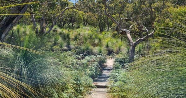 Baldrys short circuit walk