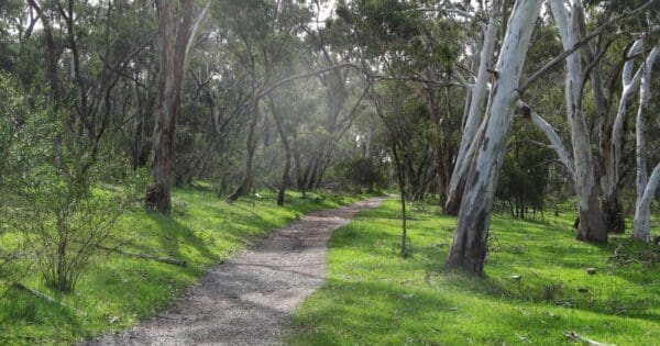 Belair National Park Circuit Belair national park circuit