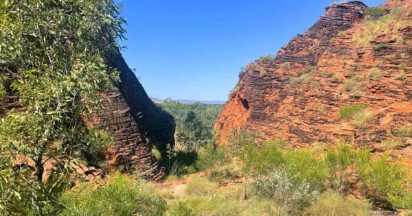 Demboong Banan Lookout Trail Demboong banan lookout trail