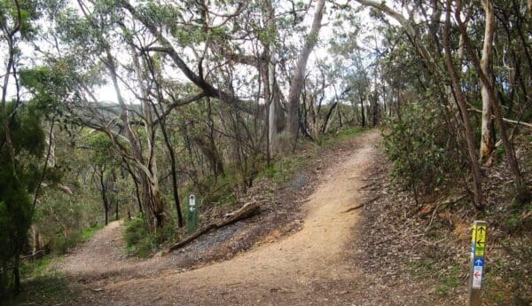 Eagle on the Hill to Summertown Eagle on the hill to summertown