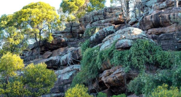 Falcon Falls walking track Falcon falls walking track