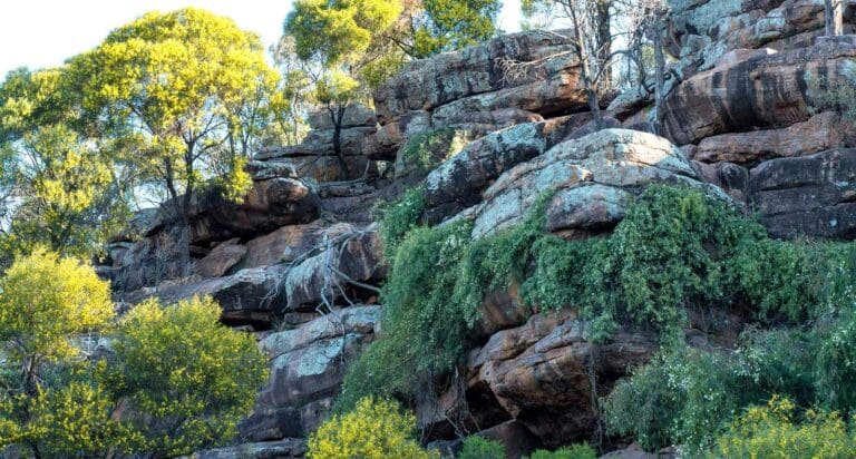 Falcon Falls walking track Falcon falls walking track