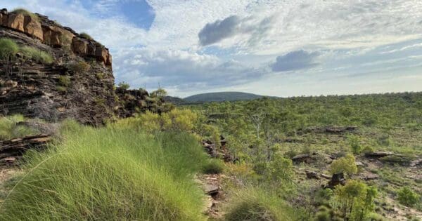 Gerliwany-gerring banan trail