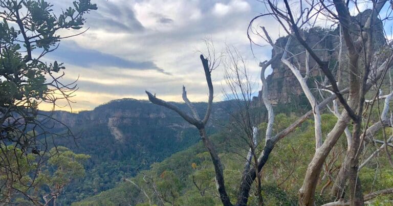 Find a hike or bushwalk