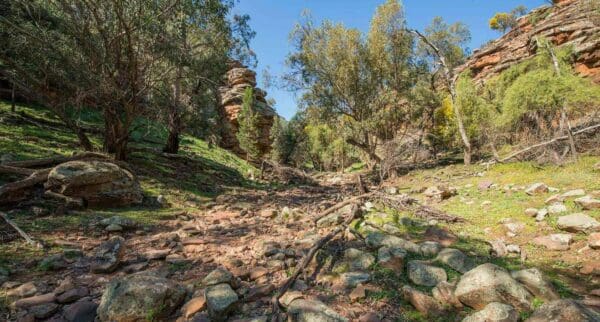 Jacks Creek Walking Track Jacks creek walking track