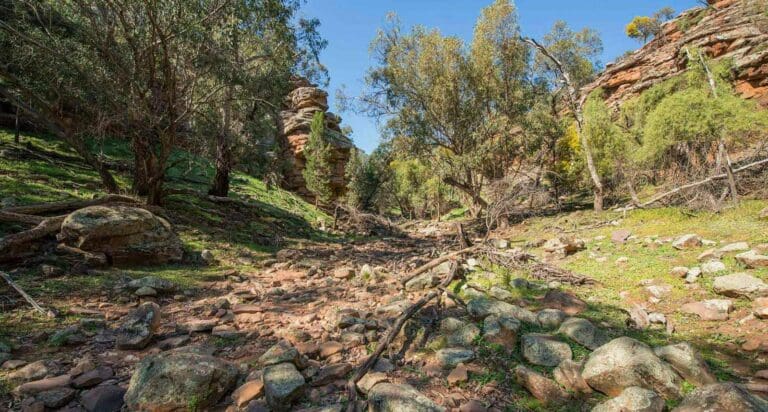 Jacks creek walking track