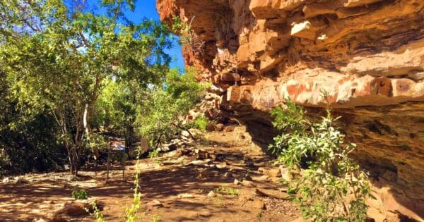 Goorrandalng Walk (2km) Jenemoom walk 600x315