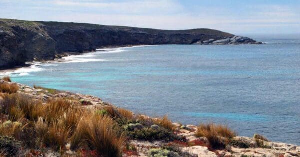 KIWT - Day 4: Grassdale Section Kiwt - day 4: grassdale section