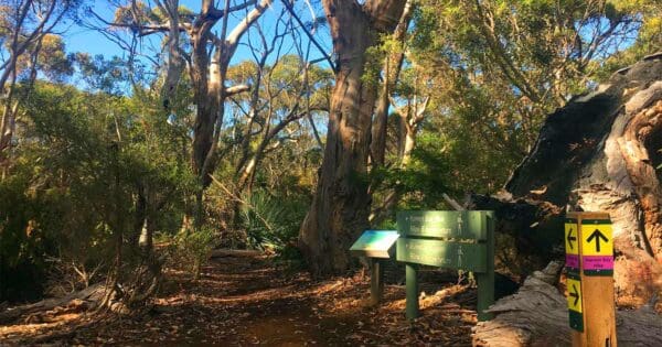 KIWT Kelly Hill Section Kiwt kelly hill section