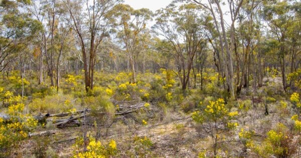 Upper Teddington Reservoir Walk Upper teddington reservoir walk