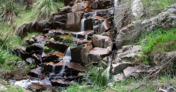 King Falls Circuit Walk King falls circuit walk