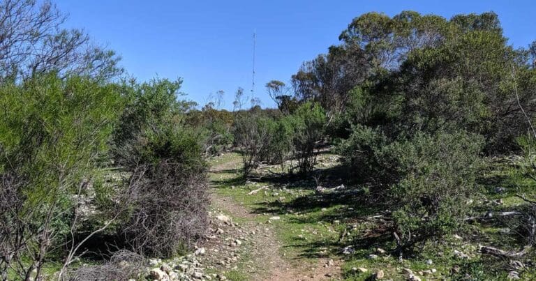 Malleefowl Trail Loop Walk Malleefowl trail loop walk