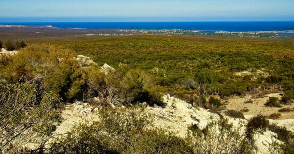 Meanarra Hill Lookout Meanarra hill lookout