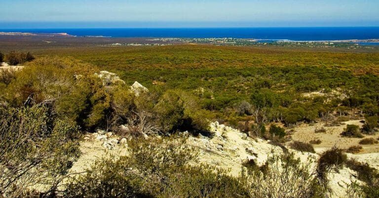 Meanarra hill lookout