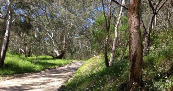Morialta to River Torrens Morialta to river torrens