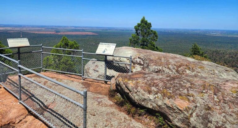 Mount Brogden Walking Track (4.5km) Mount brogden walking track 768x412