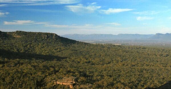 Mount Byron Summit Walk Mount byron summit walk