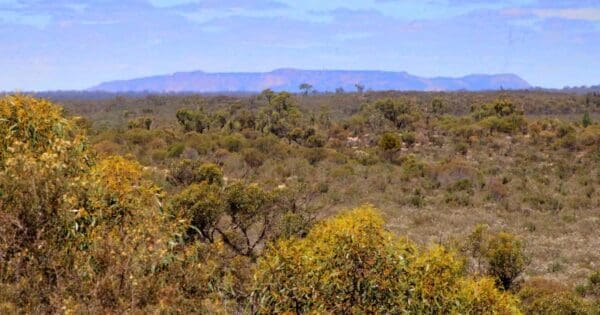 Pomponderoo hill nature walk