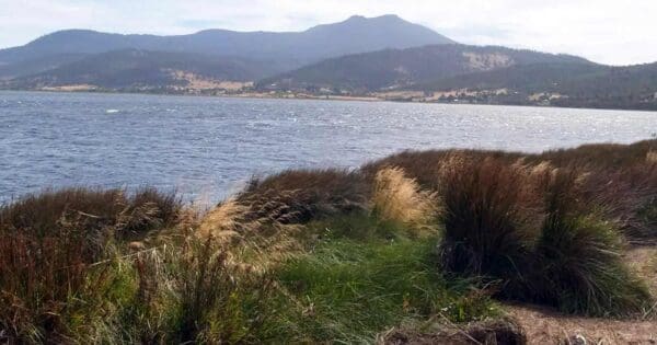 Riverside drive foreshore trail walk