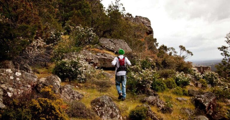 Rock escarpment discovery walk