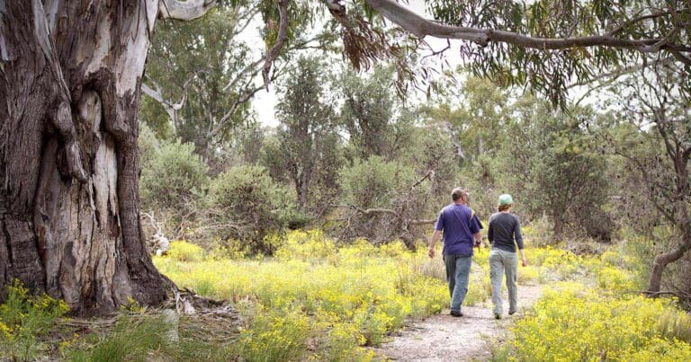 Sanctuary-Keith Hately Nature Walk Sanctuary-keith hately nature walk