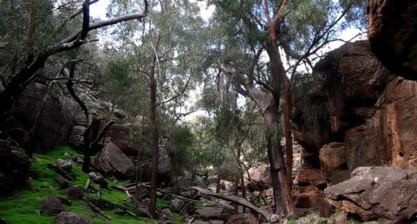 Store Creek Walking Track Store creek walking track