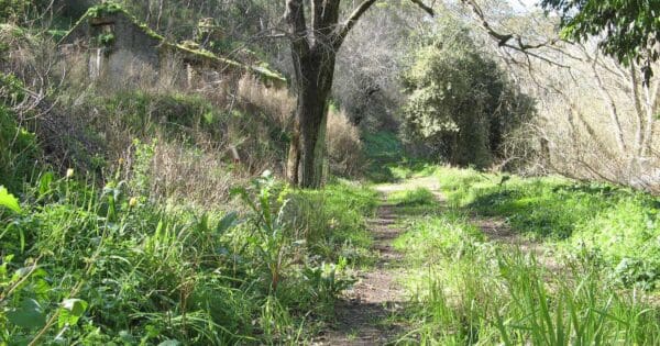 Summertown to Norton Summit Summertown to norton summit