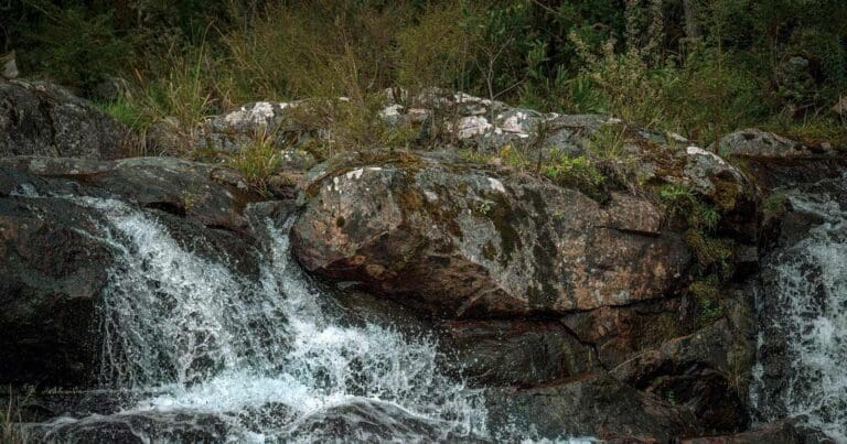 Wild dog creek falls