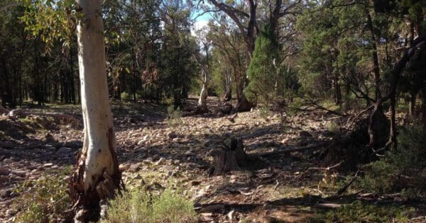 Wirra water mambray creek circuit