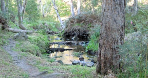 Aldgate Valley Nature Walk Aldgate valley nature walk