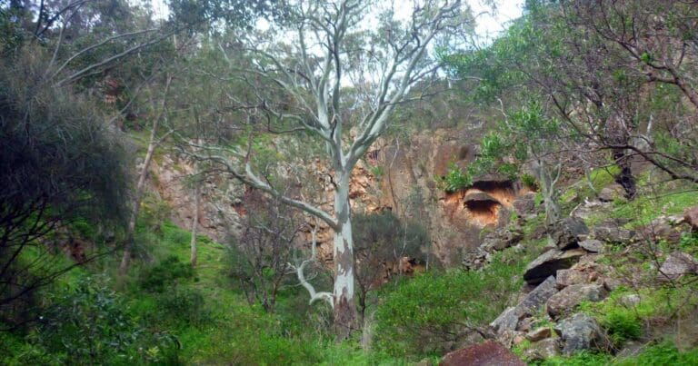 Ambers gully & sugarloaves trail